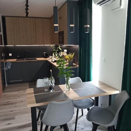 Apartament Bernata-Śródka Poznań Zewnętrze zdjęcie