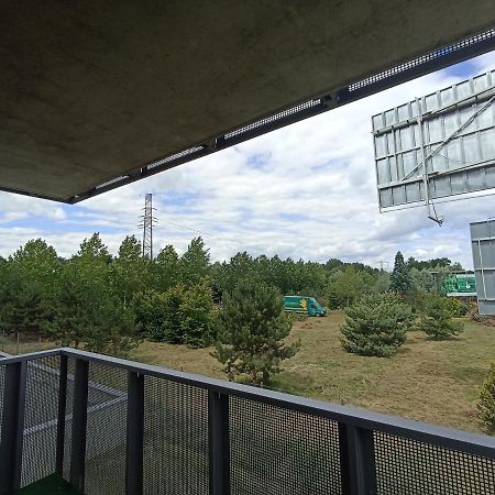Apartament Bernata-Śródka Poznań Zewnętrze zdjęcie